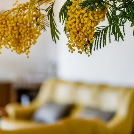 Apartment Noli Rakalj