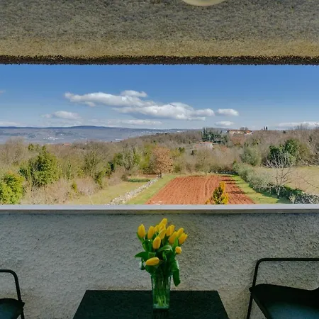 Apartment Noli *
