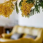 Апартаменты Noli Rakalj